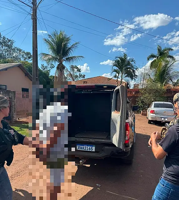 Suspeito de agredir companheira e destruir residência é preso pela Polícia Civil