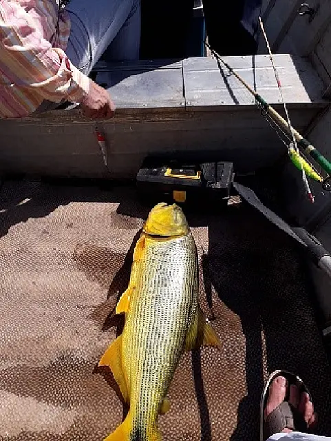 Homem é multado em mais de R$ 4 mil por pesca proibida