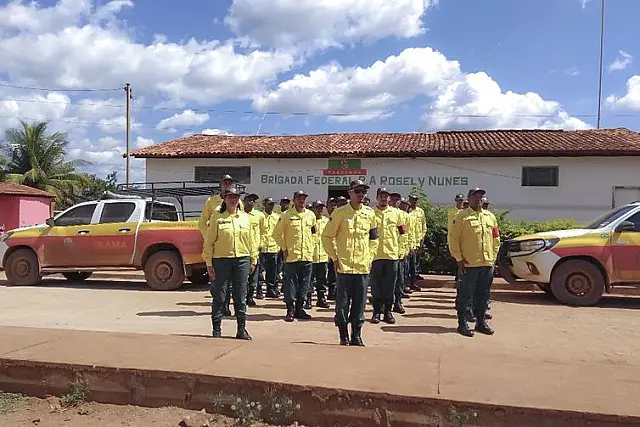 Ibama vai contratar brigadas para prevenir e combater incêndios