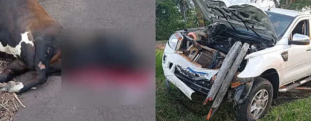 Camionete atropela vaca, perde o controle e fica destruída na BR-262