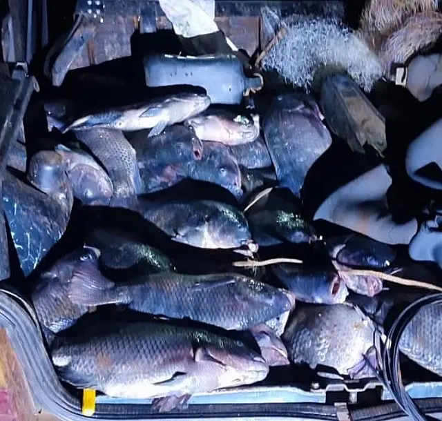 PM prende homem por furtar cerca de 100 kg de peixes