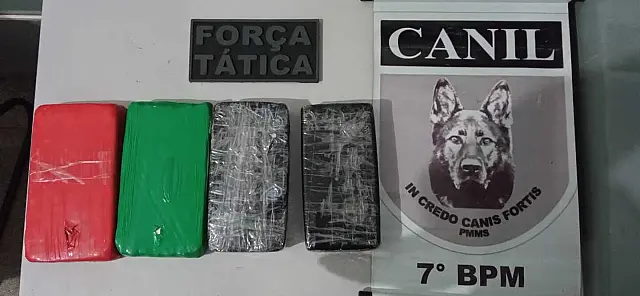 Canil de Aquidauana ajuda na apreensão de drogas em Corumbá