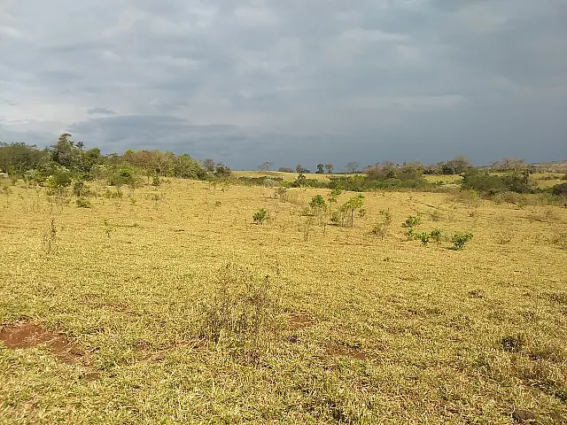 PMA de Jardim autua fazendeiro campo-grandense em R$ 7,8 mil