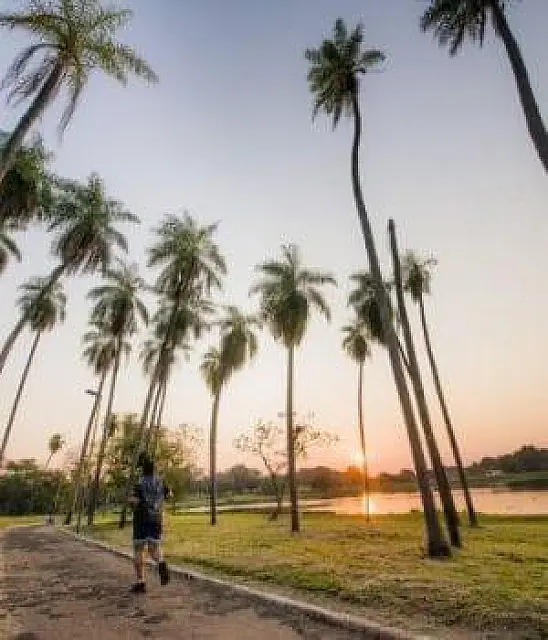 Sábado será de sol e calor de 38ºC em Aquidauana