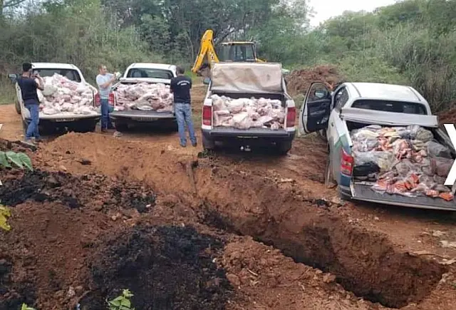 Quase 4 ton. de carne clandestina são apreendidas em MS