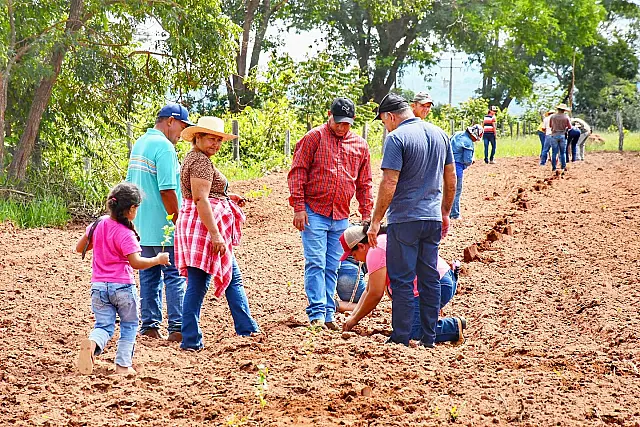 Famílias do Indaiá recebem mudas para começar plantio do urucum