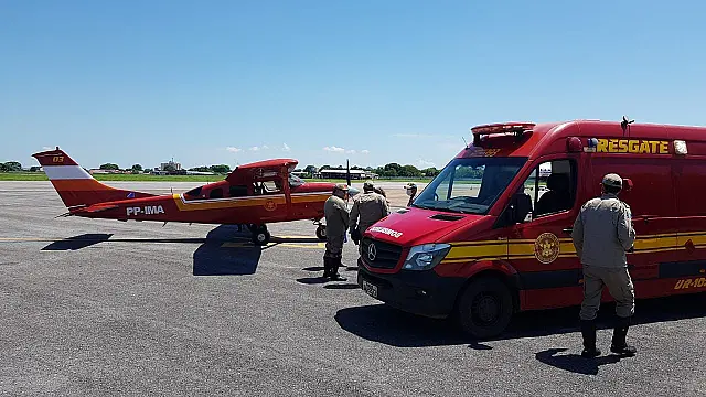 Bombeiros socorrem vítima de ataque de marimbondos