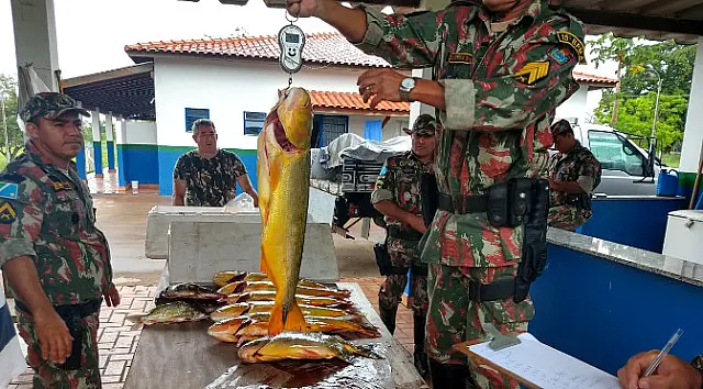 Na próxima temporada de pesca, multa mínima para quem capturar o dourado será de R$ 2,7 mil