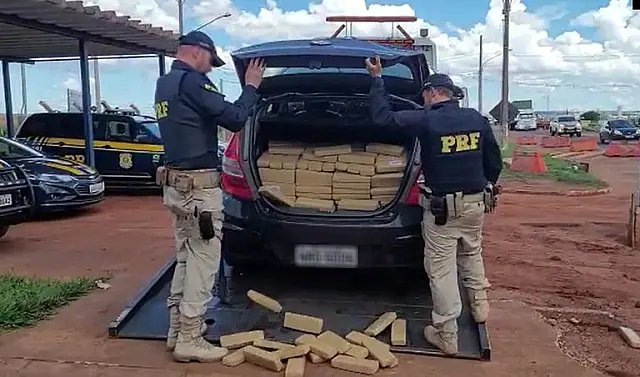 PRF apreende carregamento de maconha na BR-163