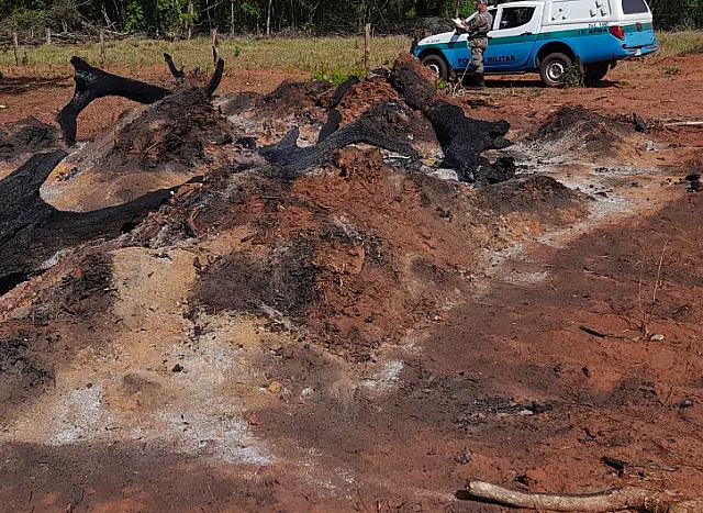 Homem é autuado em R$ 9 mil por incêndio em pastagem
