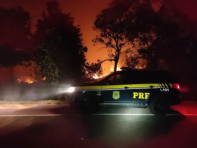 Chamas de incêndios iluminam noite no Pantanal e animais fogem pela rodovia