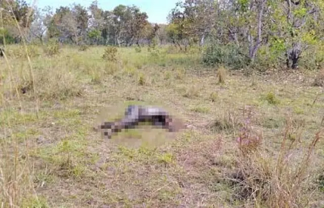 No Pantanal, corpo de vítima de homicídio é resgatado uma semana depois do crime
