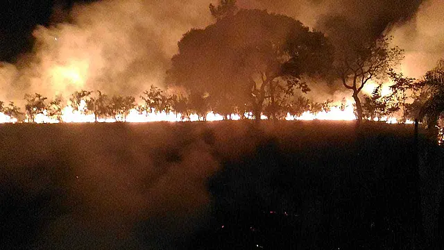 Incêndio destrói um hectare de vegetação aos fundos do DEC, em Aquidauana