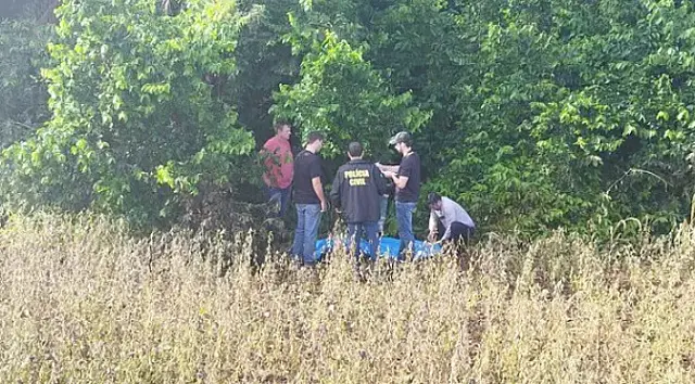 Menina de 6 anos é sequestrada, amarrada e morta em matagal