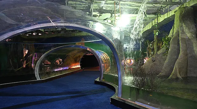 Inscrições para seleção de atendentes do Bioparque Pantanal encerram hoje