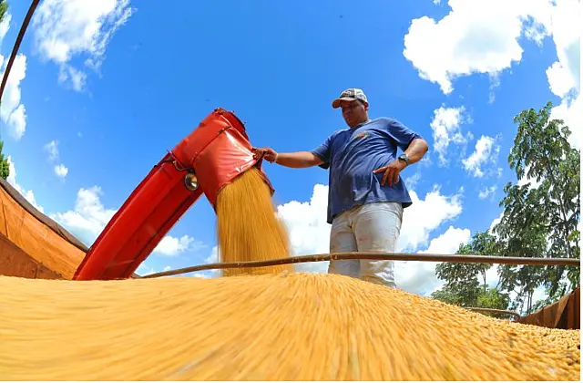 Produtores de MS devem declarar área plantada de soja até 10 de janeiro
