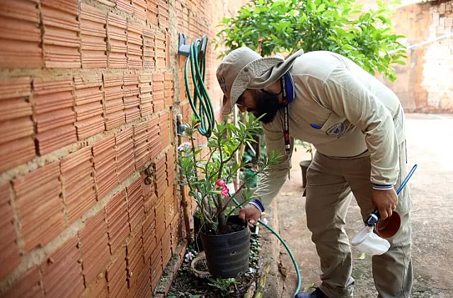 Aquidauana registra morte por dengue em 2025, em meio a mais de 13 mil casos em MS