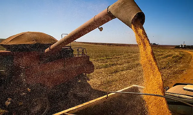 Brasil colherá 297,5 milhões de toneladas de grãos, estima a Conab