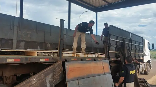 PRF descobre 1.5 tonelada de maconha e 46 kg de skunk em caminhão