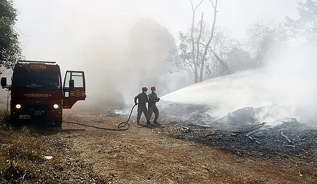 Decreto traz detalhes de emergência ambiental em MS