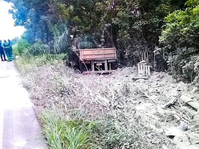 Após ataque de abelhas, motorista perde controle de carreta e sai da pista na MS-339