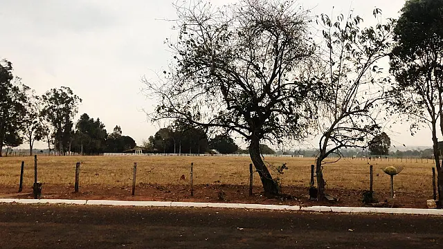 Com clima de deserto, 8 cidades de MS registram umidade abaixo de 20%