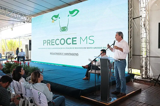 Precoce MS moderniza a pecuária e abre novos caminhos para a carne