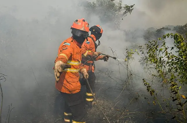 Resgate em meio a incêndios emociona ribeirinhos no Pantanal
