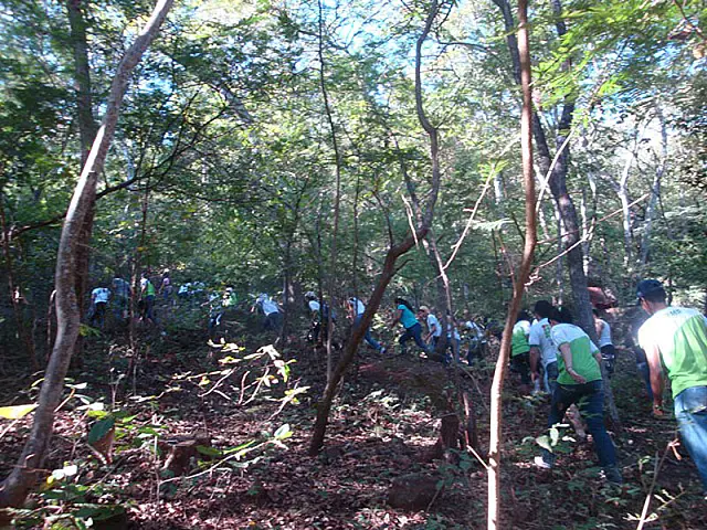 IFMS realiza série de atividades na Semana do Meio Ambiente