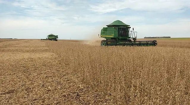 Colheita da soja é antecipada por conta de estiagem que afetou produção