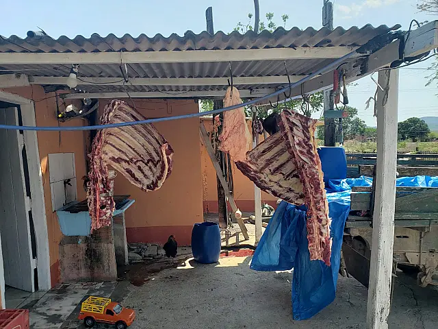 Dupla é presa por abate e venda de carne clandestina em Corumbá