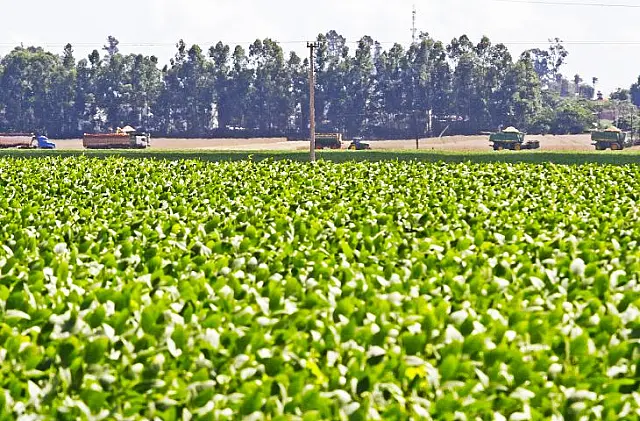 UEMS/Aquidauana abre inscrições do mestrado em Agronomia