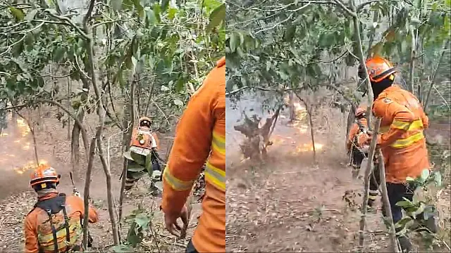 Incêndio é controlado nas proximidades do Morro Azul após ação rápida