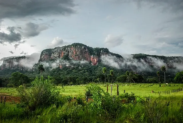 Fundação do Turismo filia MS na Braztoa para ampliar mercado