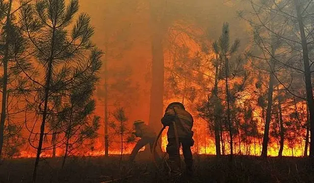 Reinaldo Azambuja anuncia R$ 56 milhões para combate permanente aos incêndios florestais