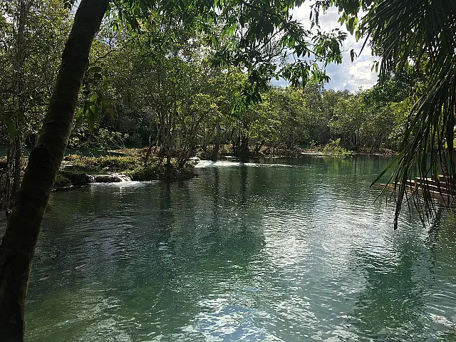 Dono de atrativo turístico em Bonito é multado por desmatamento ilegal
