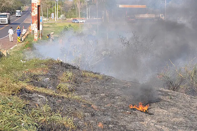 Incêndio em mata ao lado da BR-262 mobiliza bombeiros