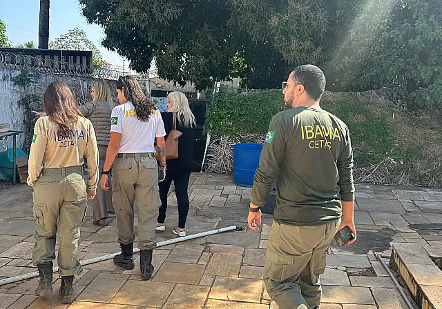 Técnicos do Ibama de Brasília visitam CREAPAM