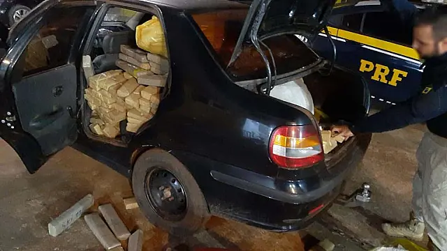 Motorista ignora ordem de parada da PRF e abandona quase 600kg de maconha em milharal