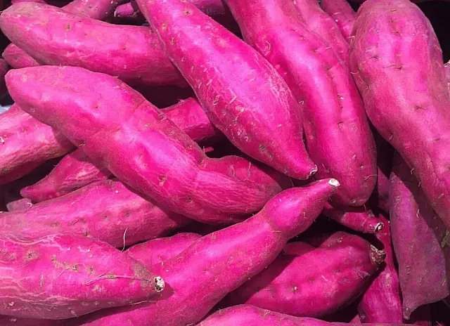 Preços de alimentos populares em dietas começam o ano em queda