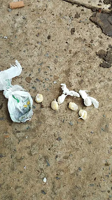 Ponto de tráfico de drogas próximo de escola é fechado em Aquidauana