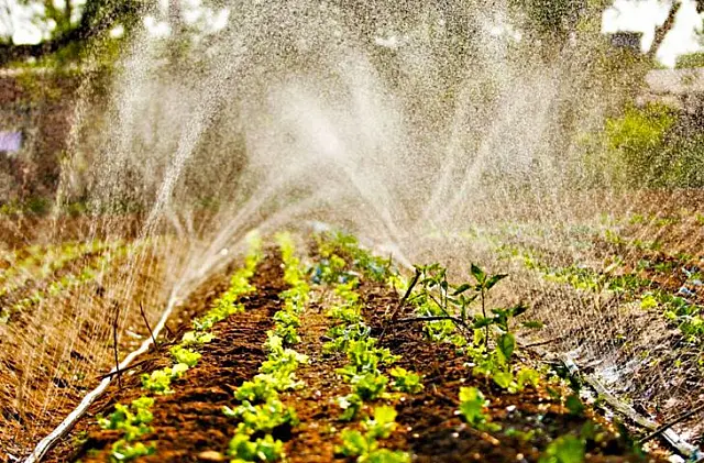 Ações do Governo fortalecem a produção do campo