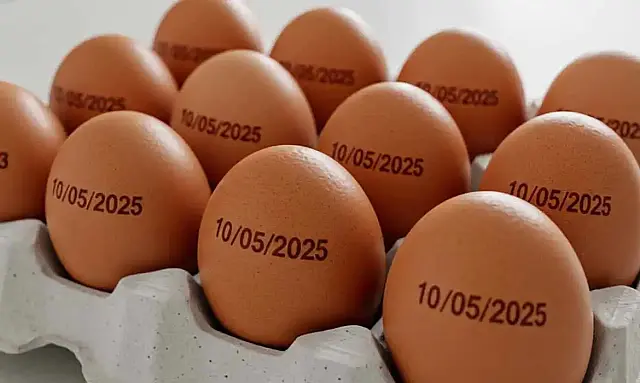 Agricultura suspende determinação de carimbar data de validade em ovos