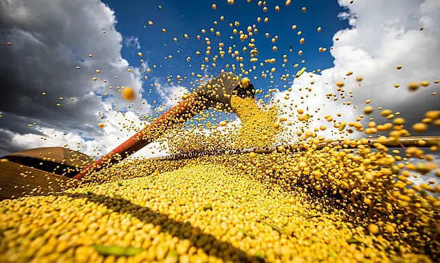 Produção brasileira de grãos deve chegar a 306,4 milhões de toneladas em 2024