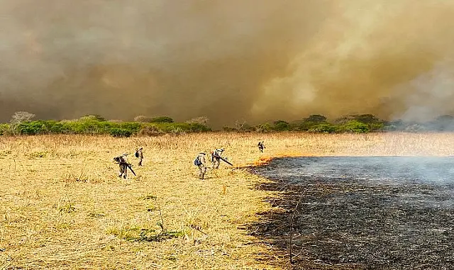 Pesquisadores de Aquidauana analisam Pantanal "em chamas"