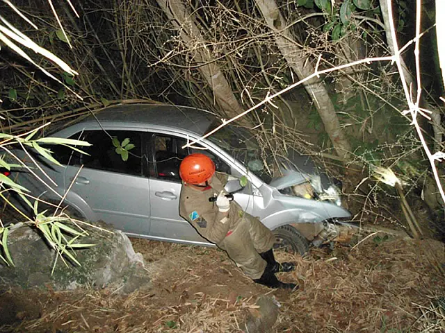 Animal na pista provoca acidente com cinco vítimas na BR-262