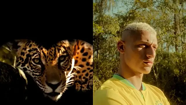 Dono do gol mais bonito da Copa, Richarlison 'adotou' onça no Pantanal de MS