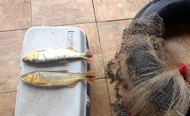 PMA flagra pesca ilegal durante fiscalização no rio Aquidauana