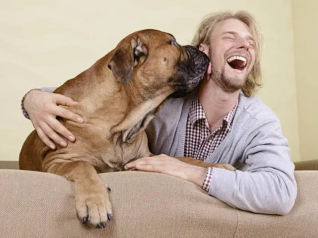 O maior inimigo do seu inimigo é: seu cachorro