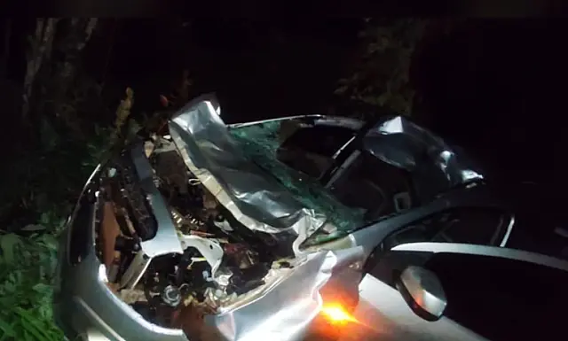 Casal fica ferido após colisão entre carro e boi